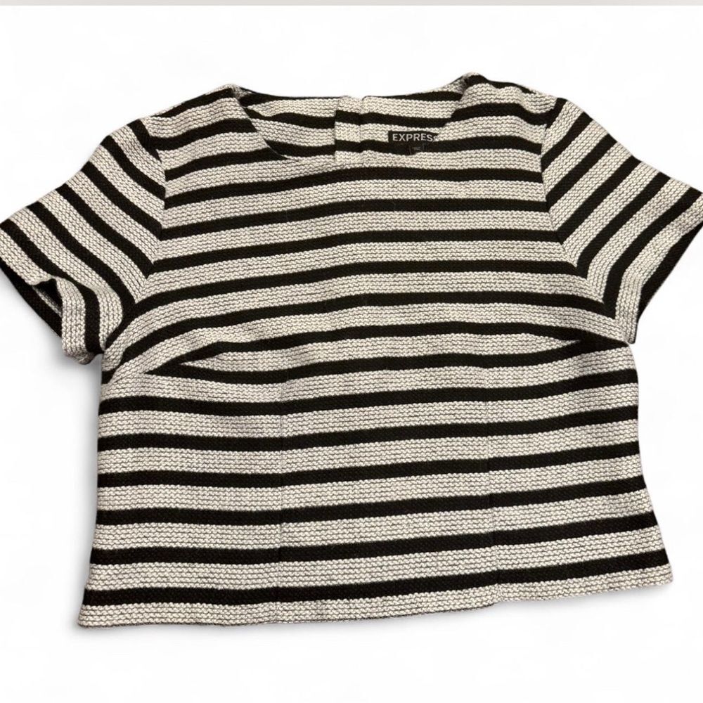 Express Monochrome Striped Knit